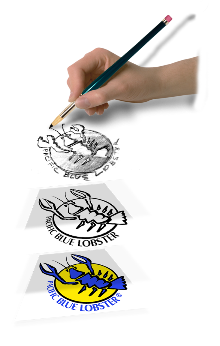 Proceso de Boceto a 3D